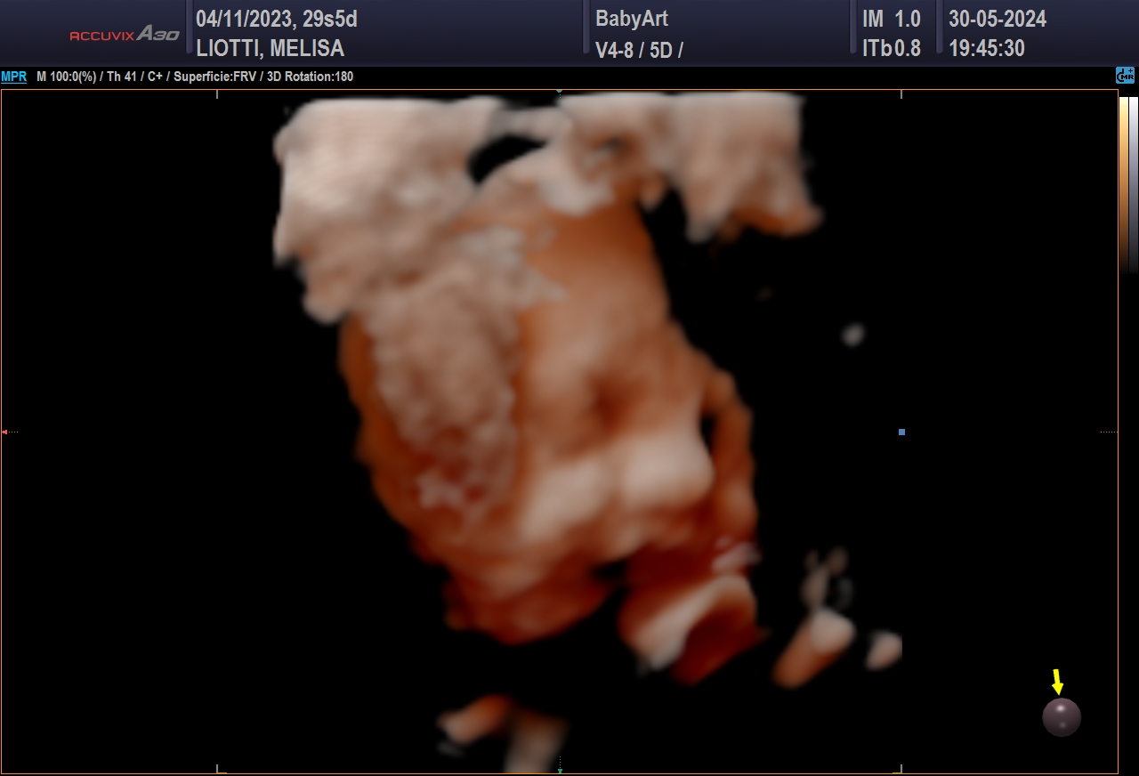 JULIA DE MELISA LIOTTI_0023.JPG